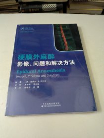 硬膜外麻醉：影像、问题和解决方法