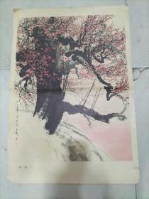 王子武1973年对开年画    咏梅