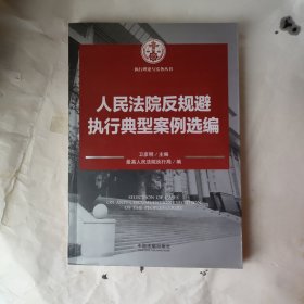 人民法院反规避执行典型案例选编：执行理论与实务丛书