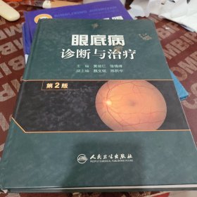 眼底病诊断与治疗（第2版）