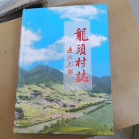 龙头村誌（湖南省郴州市）