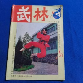 武林 1994年第6期 连环太极拳（上）；防砸肘反击招法；武当太极剑对练图解（中）