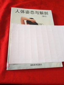 人体姿态与解剖（静态）