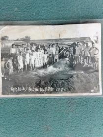 1959年（老照片）江陵县《郝穴粮油厂动力班抗旱留影》珍贵资料
