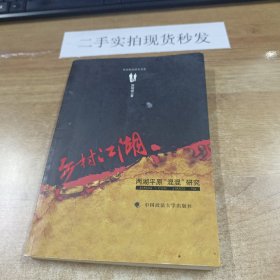 乡村江湖：两湖平原"混混"研究