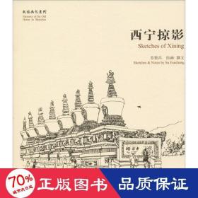 西宁掠影/故园画忆系列