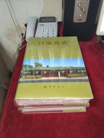 甘肃省志 政府志 （夏朝—2005年） 上下卷【全新未拆封】