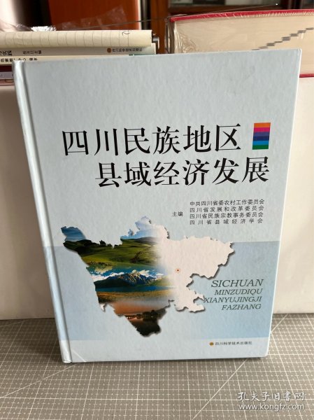 四川民族地区县域经济发展