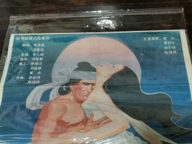 八十年代电影海报《百鸟衣》 （ 2开 ）