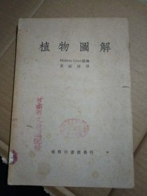 植物图解，商务印书馆 1950年3版，16开