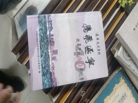 遂宁文史资料：腾飞遂宁- 改革开放40年纪事
