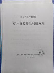 嵩县大王沟铜钼矿矿产资源开发利用方案