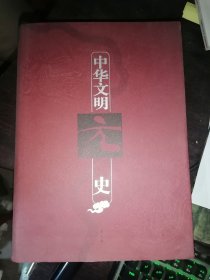 中华文明史（第七卷）元代
