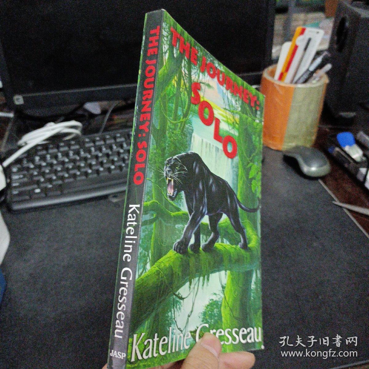 The Journey:Solo——c6