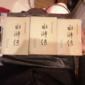 中国古典文学读本丛书 水浒传