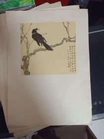 悲鸿墨画 活页(全10张，现存9张，缺第四张)