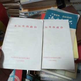 永远突出政治