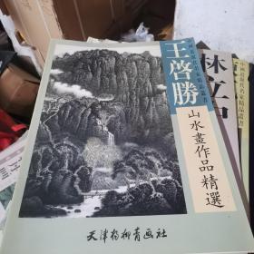 王启胜山水画作品精选