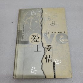 爱上爱情：《我为歌狂》续集