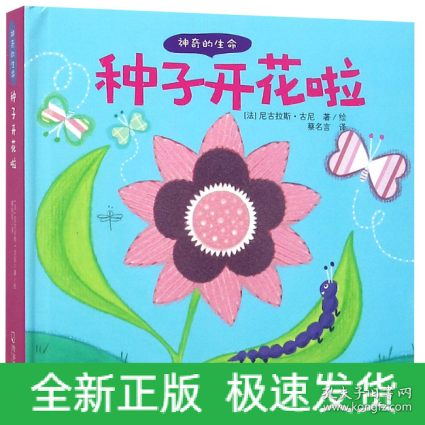 种子开花啦/神奇的生命