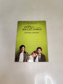 The Perks of Being a Wallflower 壁花少年 英文原版