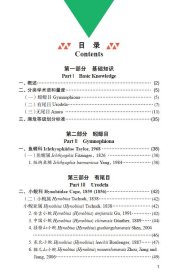 中国两栖动物图鉴：野外版 费梁 9787534999949