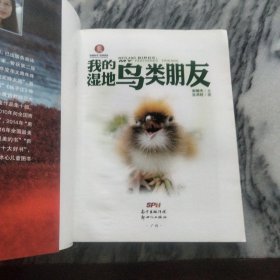 自然观察: 我的湿地鸟类朋友