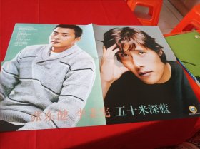 张东健李秉宪/张柏芝 双面海报
