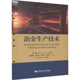 冶金生产技术 大中专理科科技综合 黄卉,徐征,张凇源 等 编 杨俊飞,洪金菊 译 新华正版