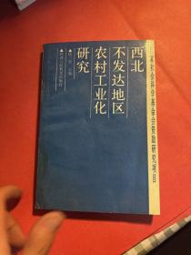 西北不發(fā)達(dá)地區(qū)農(nóng)村工業(yè)化研究