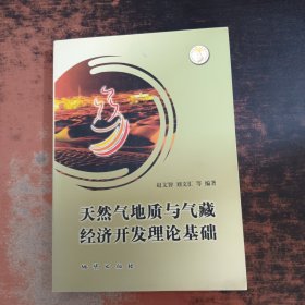 天然气地质与气藏经济开发理论基础