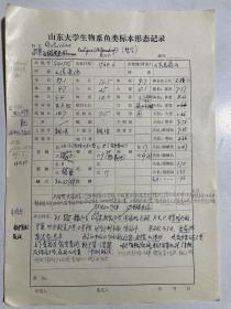 1964年山东大学生物系鱼类标本形态记录（烟台昆嵛山采集）