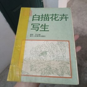 白描花卉写生（金2柜6）