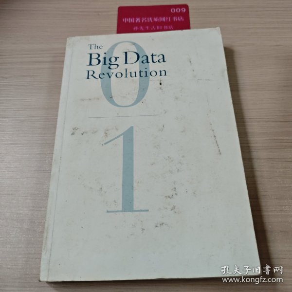 大数据：正在到来的数据革命，以及它如何改变政府、商业与我们的生活