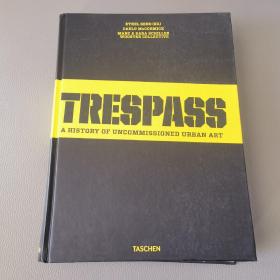 trespass  a history of uncommissioned urban art