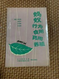 蚂蚁行为食用药用养殖