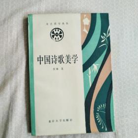 中国诗歌美学（文艺美学丛书）