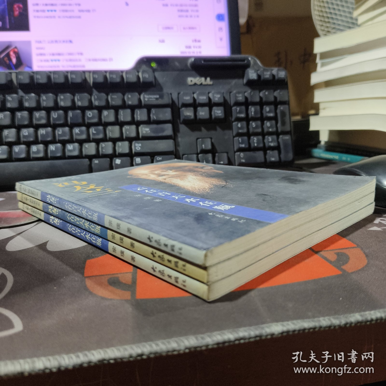 大象人物聚焦书系-冯友兰：云在青天水在瓶（一版一印）