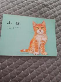 小猫