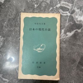 日本现代小说 岩波新书