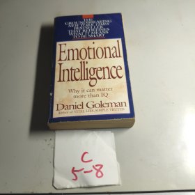 Emotional Intelligence