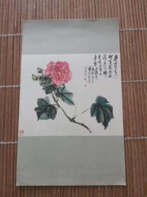 老画片芙蓉 王个簃作