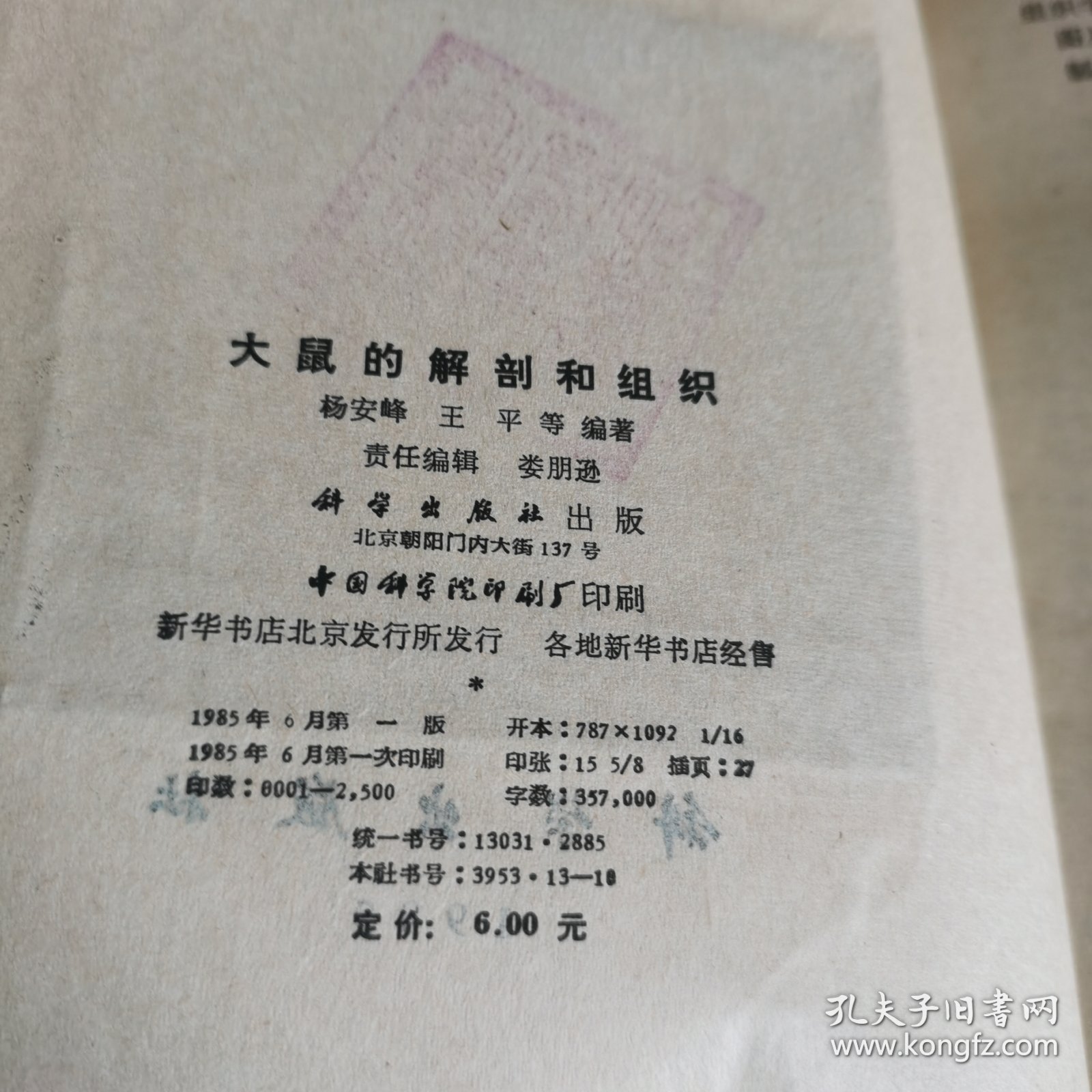 大鼠的解剖和组织