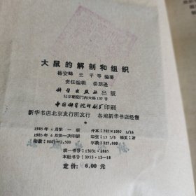 大鼠的解剖和组织