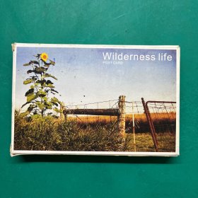 Wilderness life POST CARD荒野生活明信片30张