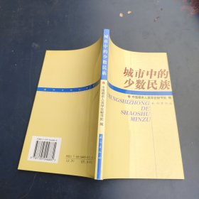 城市中的少数民族