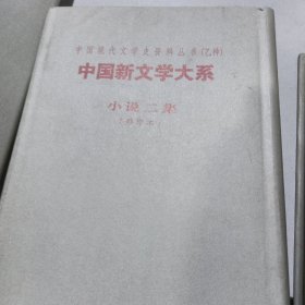 中国新文学大系：小说二集