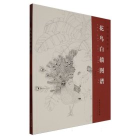 中国画素材库——花鸟白描图谱