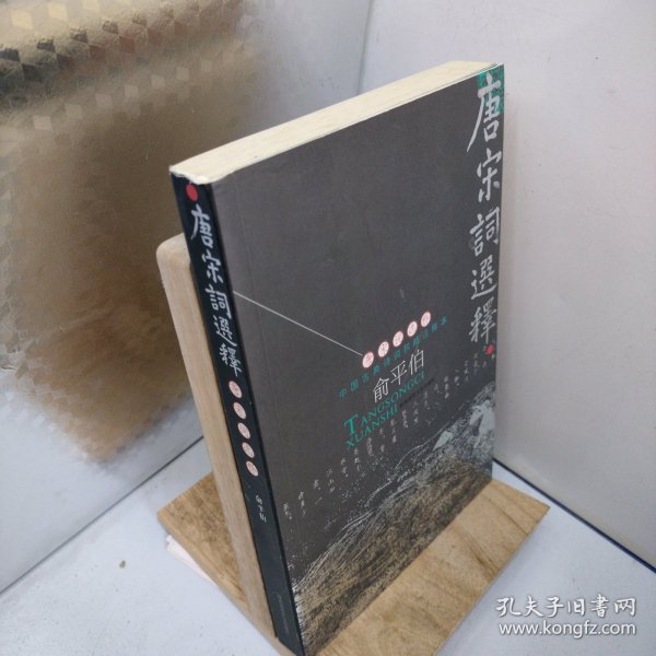 唐宋词选释