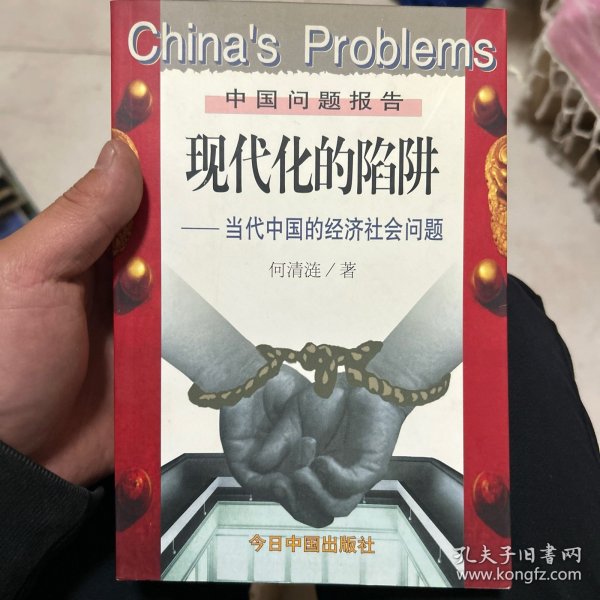 现代化的陷阱：当代中国的经济社会问题